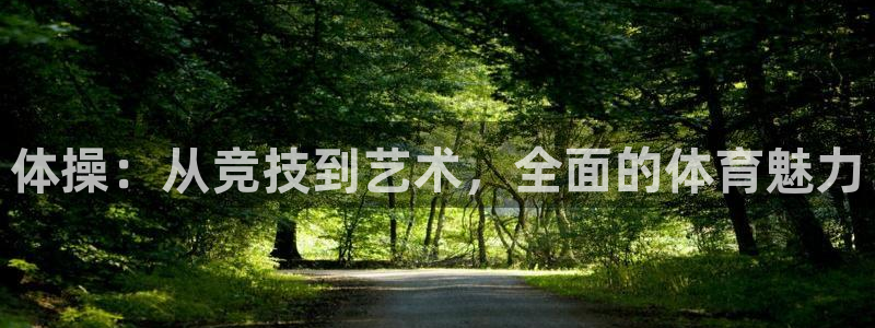 MK体育官方正版app科技:体操:从竞技到艺术,全面的体育魅