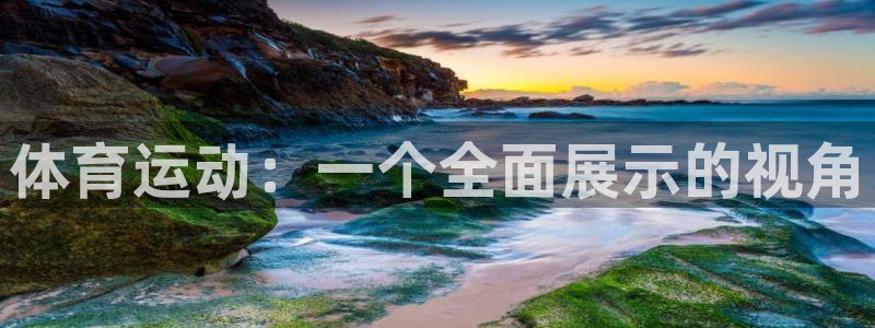 MK体育官方正版app娱乐平台:体育运动:一个全面展示的视角