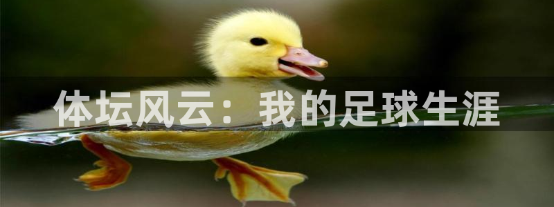 MK体育官方集团官网:体坛风云:我的足球生涯